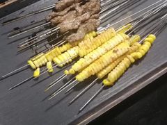 -碎怂烤肉(钟楼柳巷店)