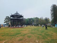 -东湖落雁景区