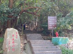 -紫金山山顶公园