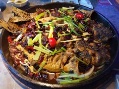 -老板恋上鱼(恒隆广场店)