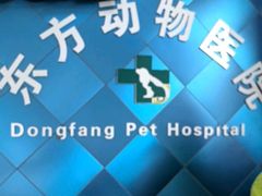 -东方动物医院·宠保定点·骨科·转诊中心(春城路·昆明站分院)
