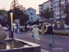 -嘉定紫藤园