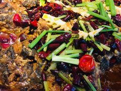 -老板恋上鱼(恒隆广场店)