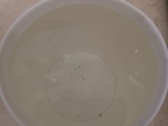 -南宫温泉水世界