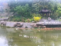 -广州市帽峰山景区
