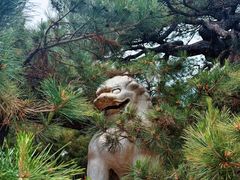 -潭柘寺景区