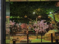 点击看大图 -酷嗒动物文化乐园(cutezoo西溪乐天城店)