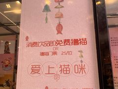 -猫咪博物馆(顶澳仔猫街店)