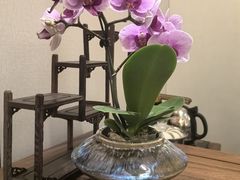 -南宁荔园维景国际酒店·荔园中餐厅