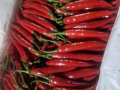 -鸿港海鲜批发市场