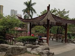 -晓港公园
