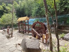 -广州白江湖森林公园