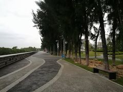 -宝安西湾红树林湿地公园