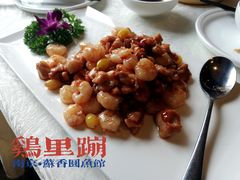 -丁老爷子苏香圆