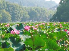 -浙江省博物馆(孤山馆区)