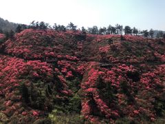 -木兰云雾山
