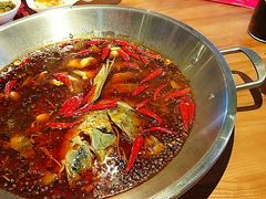 -红牌美蛙鱼头火锅(万辉国际广场店)