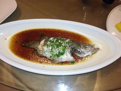 -茉莉花空中花园餐厅(义乌店)