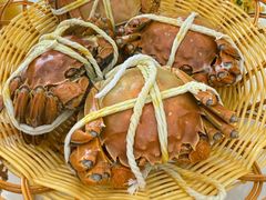 -蟹天蟹地农家菜·阳澄湖大闸蟹(浅水湾店)
