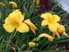 -长春公园(普阳街道)