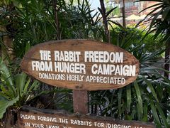 -卷心菜和避孕套餐厅(Pattaya)