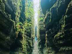 -梭布垭石林景区