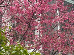 -乌山风景区