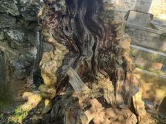 -昆明市金殿名胜区