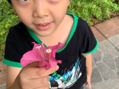 -深圳市南山区育才第四幼儿园