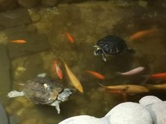 -馬蘭花開(车站大道店)