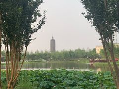 -西海子公园