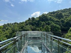 -海南槟榔谷黎苗文化旅游区