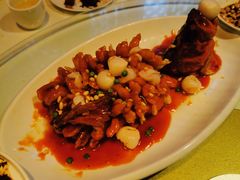 -金鼎轩(亚运村店)