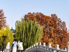 -东湖听涛景区