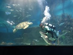 -嘉兴海底世界