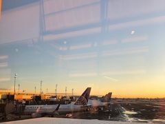 -纽瓦克自由国际机场