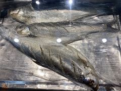 -大安鱼小米饭(吉粮康郡店)