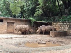 -昆明动物园