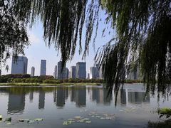 -尚贤河湿地