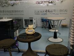-瑞派宠物医院·24小时骨科·心脏·核磁(哈尔滨南岗店)