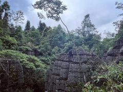 -梭布垭石林景区