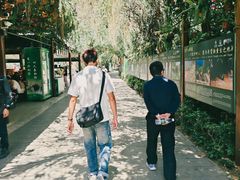 -野象谷景区