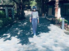 -海南清水湾莱佛士酒店