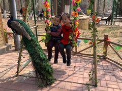 -石家庄市动物园