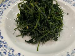 凉拌苜蓿-阿吾丹的烤羊·新疆菜·抓饭·拌面(乌尔禾店)