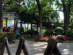 -MAP CHA普洱茶馆(翠湖店)