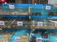 -晓伟海鲜家常菜