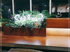 -Seesaw Coffee(朝阳大悦城店)