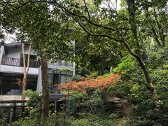 -山外山菜馆(玉泉路店)