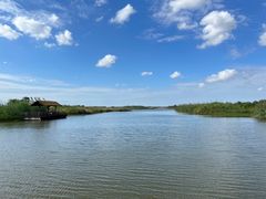-宁波杭州湾国家湿地公园